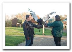 Birds of Prey Foundation